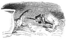 Hahnenkampf sw 08.jpg